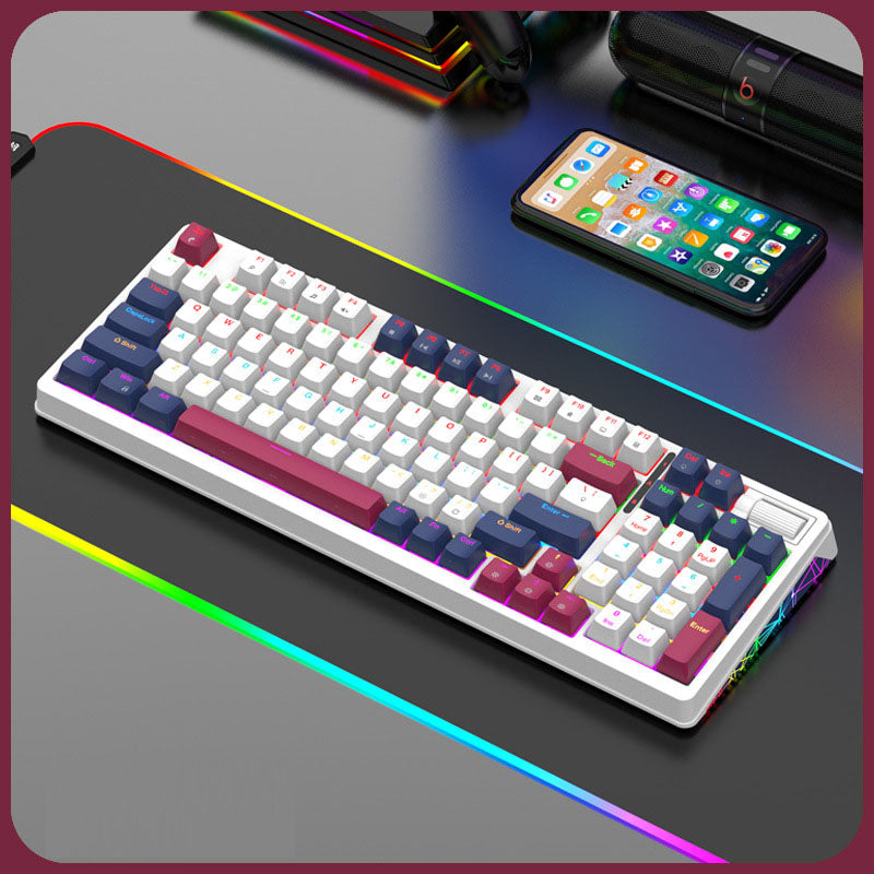 XUNFOX K85 Wired Mechanical Keyboard – Hot Swappable, 96 Keys, Rainbow LED Backlight, USB Wired for Esports, Office, and Home Use